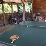 In With Pool & History