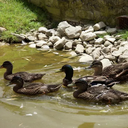 Apartamento In With Pool & History Todi