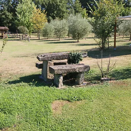 Apartman In With Pool & History